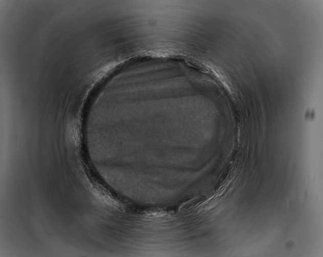 X0000099990540200806201452