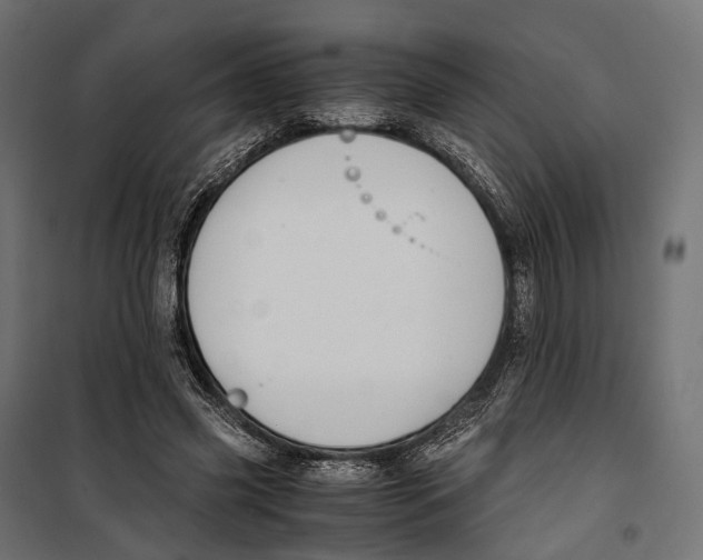 X0000099990541200806201452