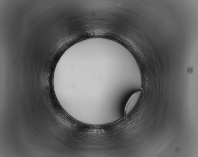 X0000099990543200806201452