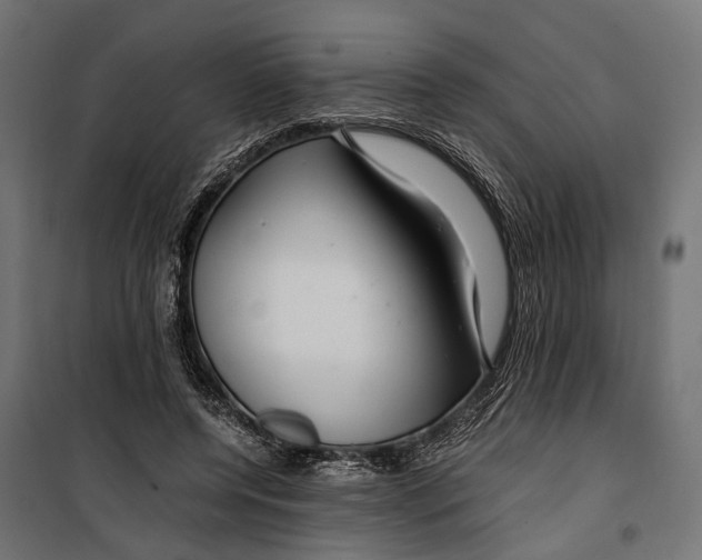 X0000099990544200806201452