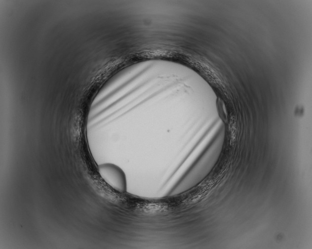 X0000099990546200806201452