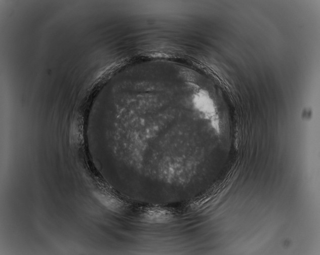 X0000099990547200806201452