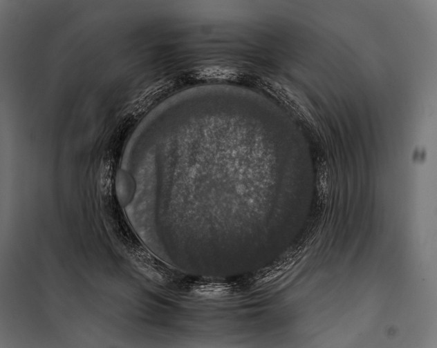 X0000099990551200806201452