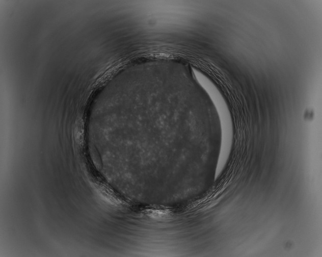 X0000099990552200806201452