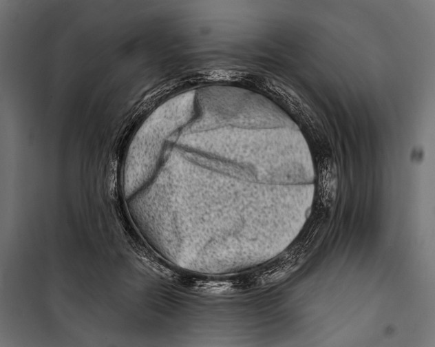 X0000099990554200806201452