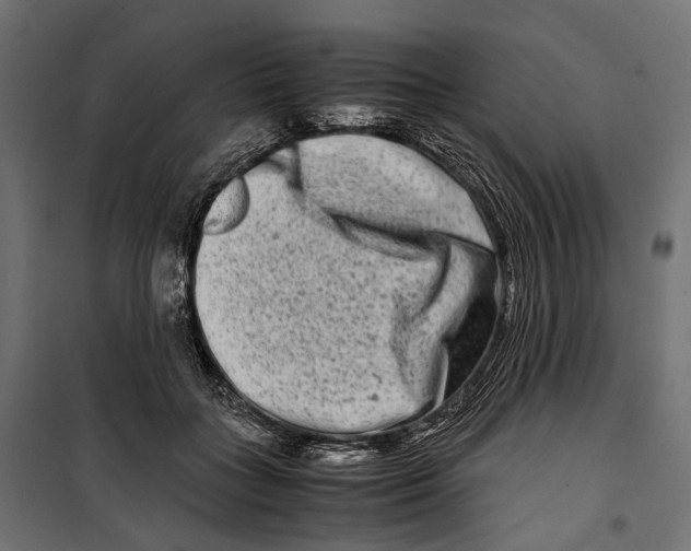 X0000099990555200806201452