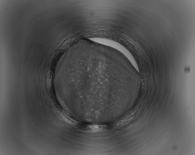 X0000099990558200806201452