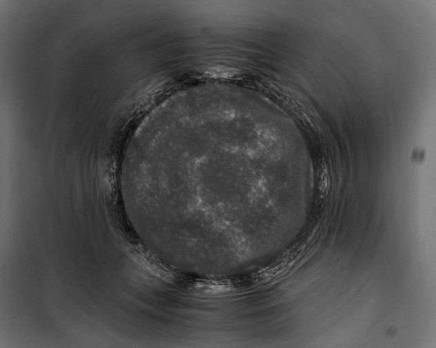 X0000099990559200806201452