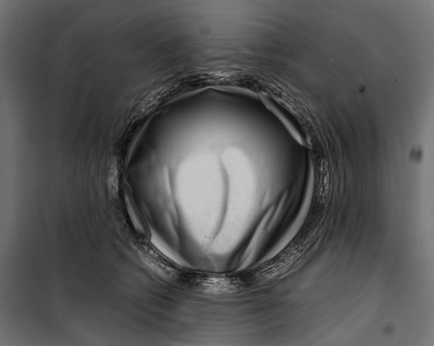 X0000099990562200806201452