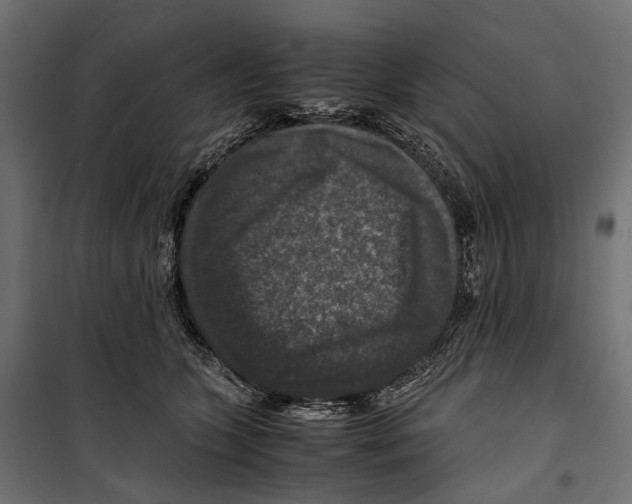 X0000099990563200806201452