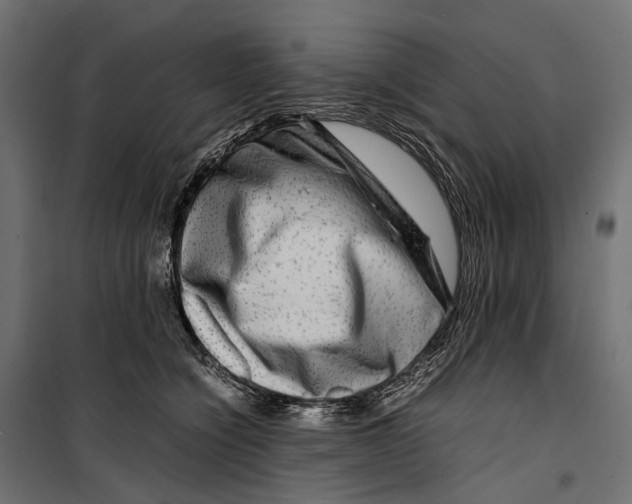 X0000099990564200806201452