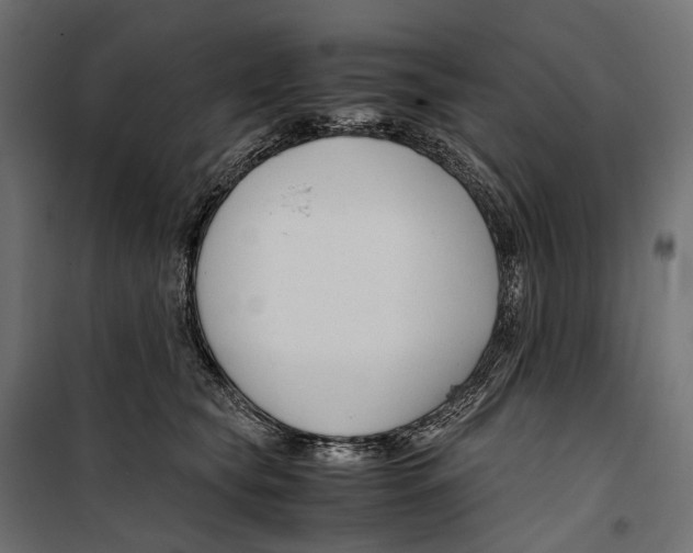 X0000099990565200806201452