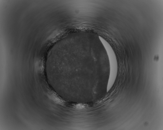 X0000099990566200806201452