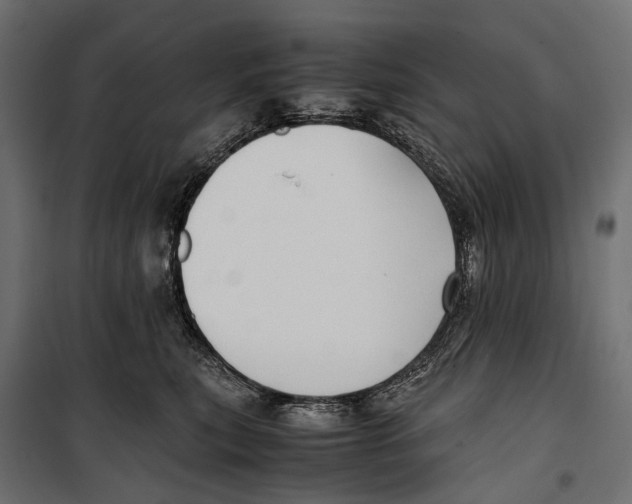 X0000099990567200806201452