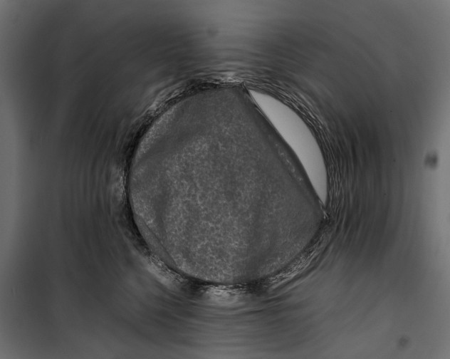 X0000099990568200806201452