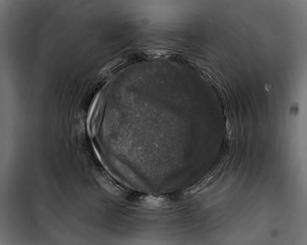 X0000099990570200806201452