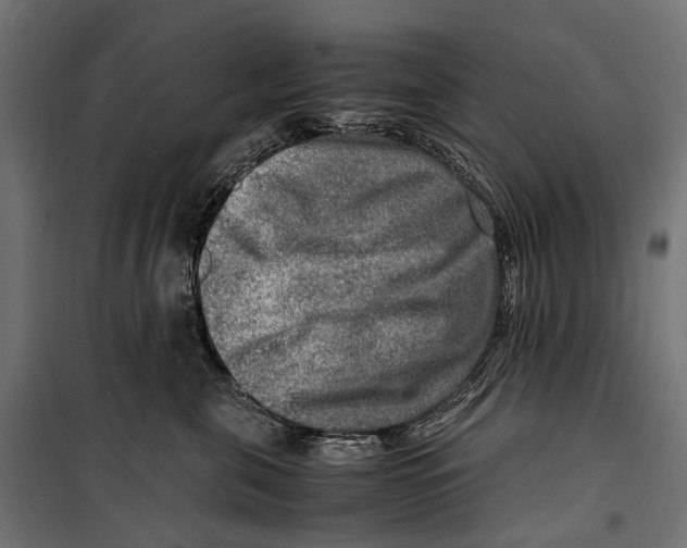 X0000099990571200806201452