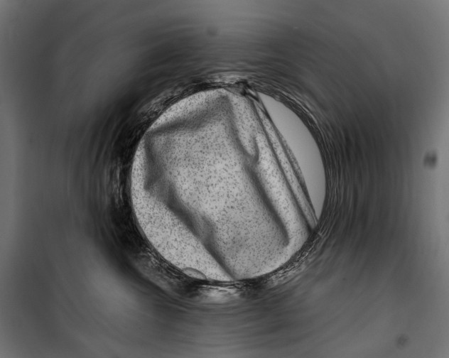 X0000099990572200806201452