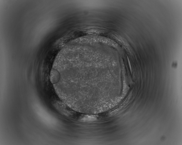 X0000099990573200806201453