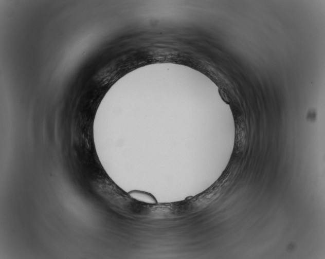 X0000099990574200806201453