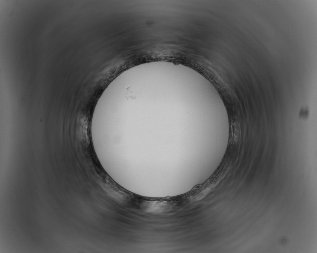 X0000099990575200806201453