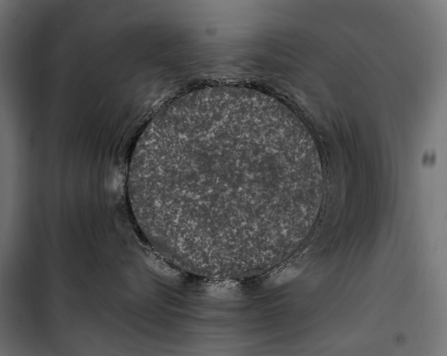 X0000099990576200806201453