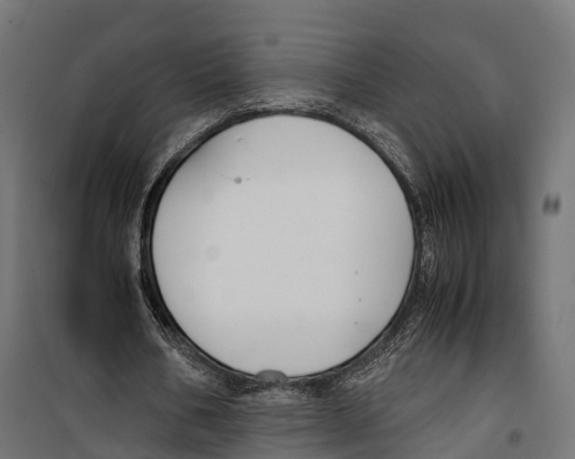 X0000099990578200806201452