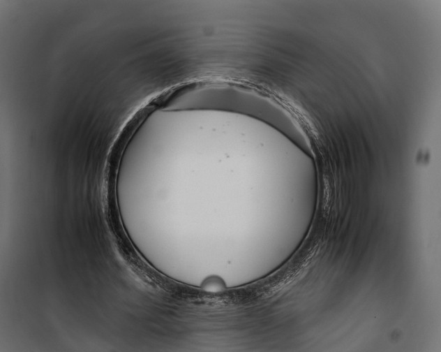 X0000099990580200806201452