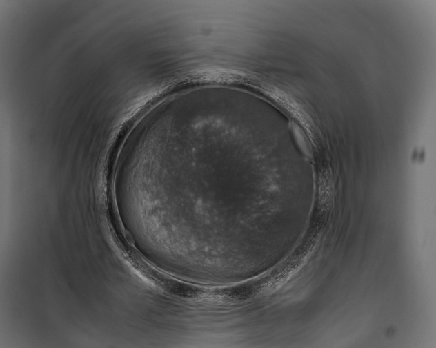 X0000099990581200806201452