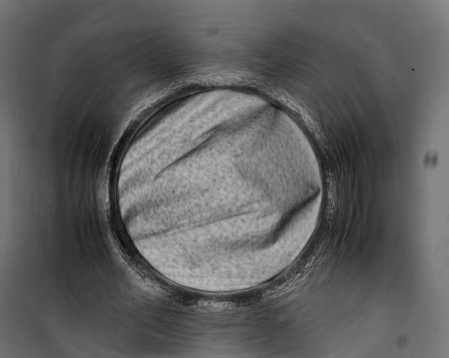 X0000099990582200806201452