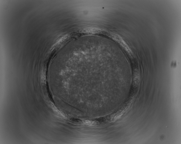 X0000099990585200806201452