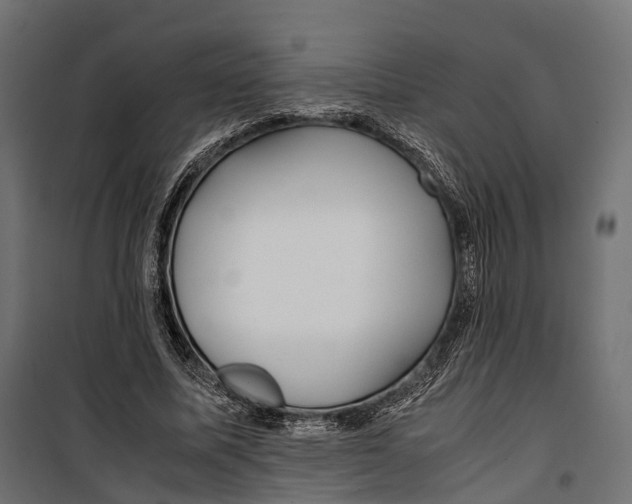 X0000099990587200806201452