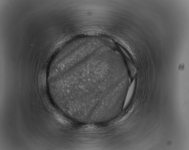 X0000099990589200806201452