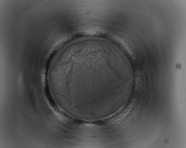 X0000099990590200806201452