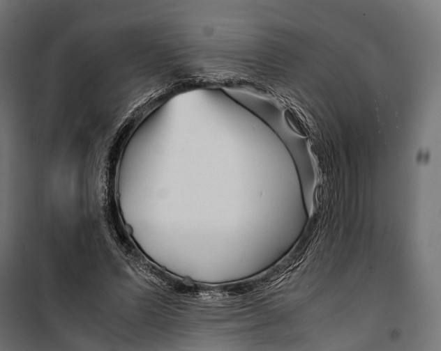 X0000099990591200806201451