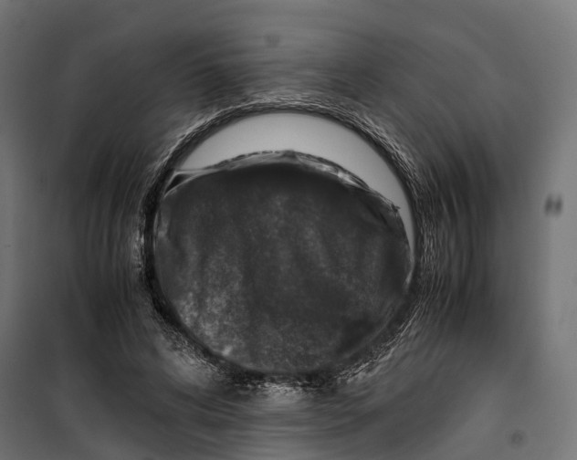 X0000099990592200806201451