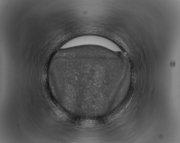 X0000099990593200806201451