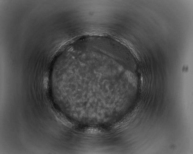 X0000099990596200806201451