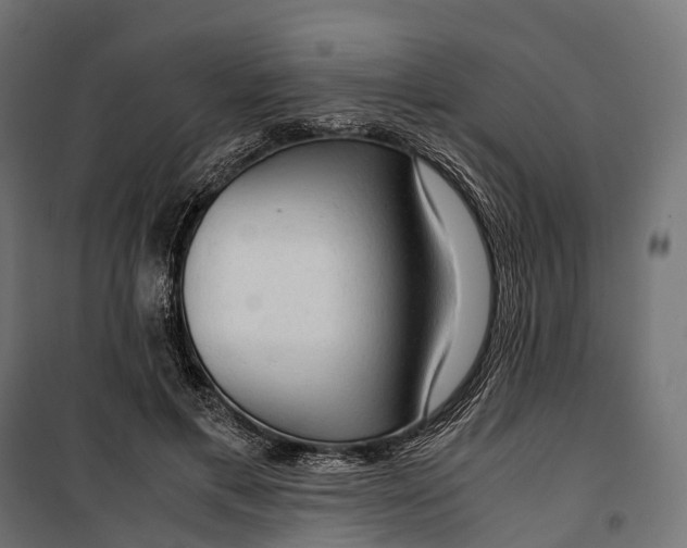 X0000099990597200806201451