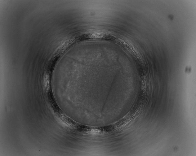 X0000099990598200806201451