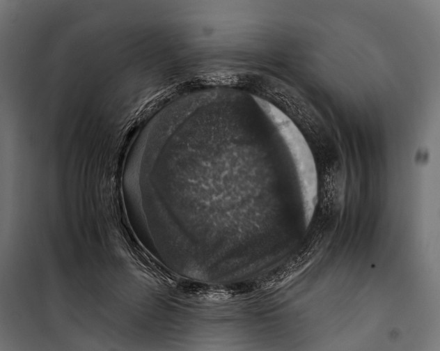 X0000099990600200806201451