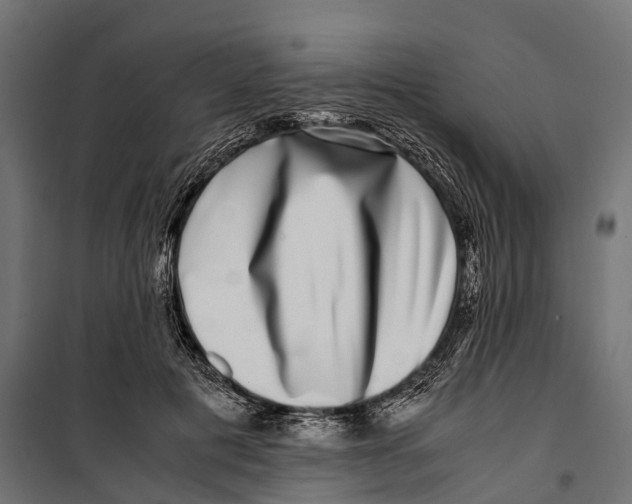 X0000099990601200806201451