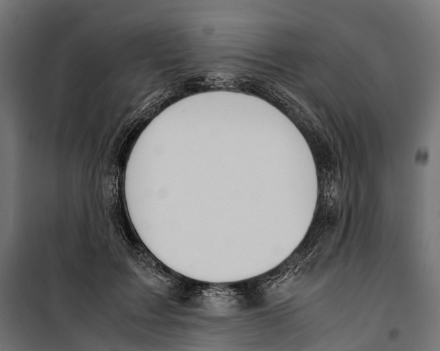 X0000099990603200806201451