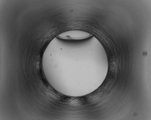 X0000099990604200806201451