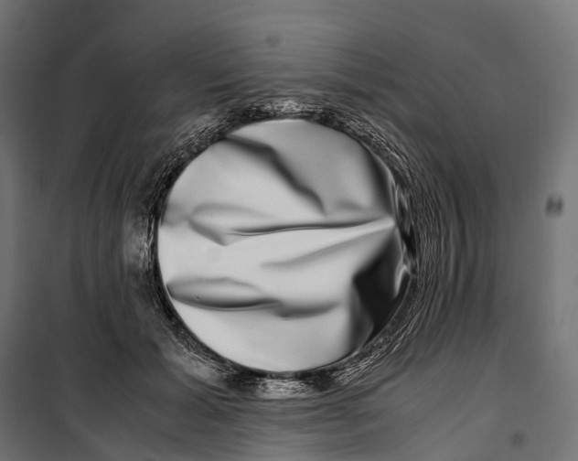 X0000099990605200806201451