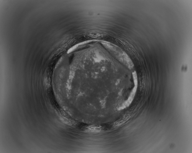 X0000099990606200806201451