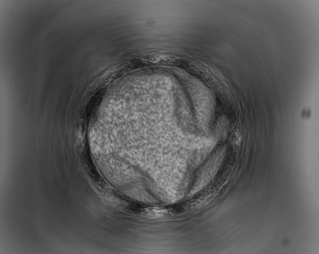 X0000099990607200806201451