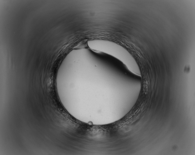 X0000099990608200806201451