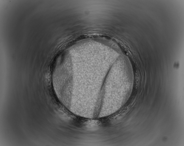 X0000099990609200806201451