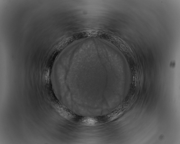 X0000099990610200806201451